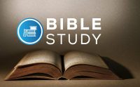 Daily Bible Studies